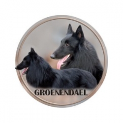 BELGICKÝ OVČÁK - GROENENDAEL