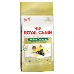 Royal Canin Maine coon - 10kg