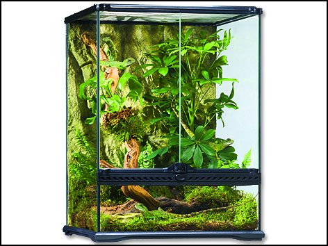 Terárium EXO TERRA 45 x 45 x 60 cm