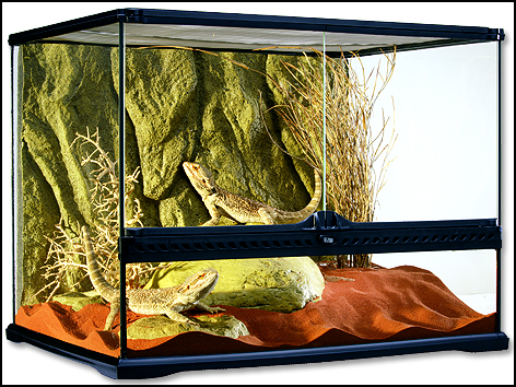 Terárium EXO TERRA 60 x 45 x 45 cm