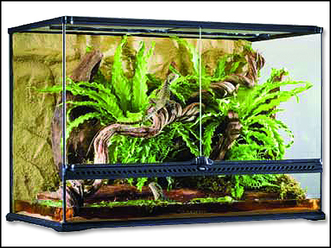 Terárium EXO TERRA 90 x 45 x 60 cm