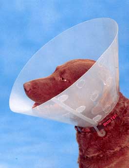 Límec ochranný BUSTER plastový Clic Collar 12,5cm