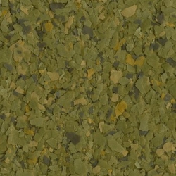 Krmivo Tetra Phyll 100ml