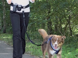 Vodítko Trixie na pás nylon do 40kg