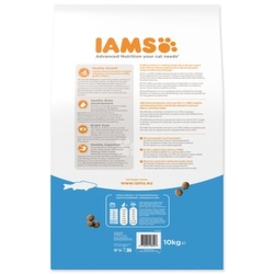 Krmivo IAMS Cat Kitten Ocean Fish 10kg