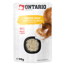 Polévka Ontario kuře 40g