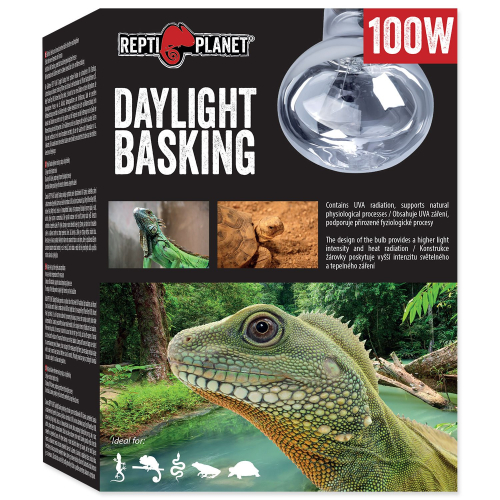 Žárovka Repti Planet Daylight Basking Spot 100W