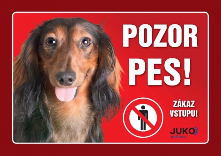 Cedulka plast JEZEVČÍK dlouhosrstý hnědý