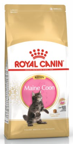 Royal canin Breed Feline Kitten Maine Coon 10kg