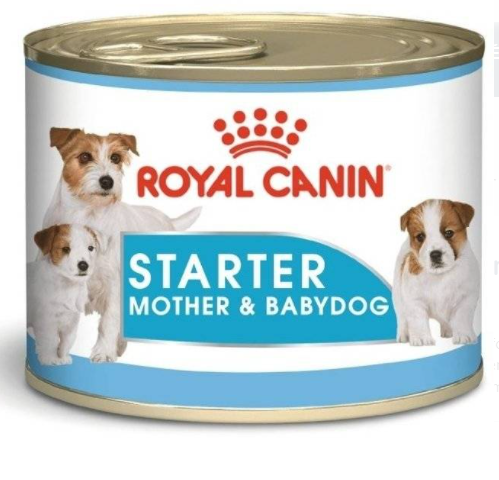 Royal Canin Starter MOUSSE 195 g