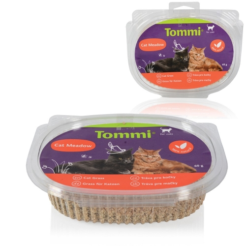 Tommi - tráva pro kočky, 60g