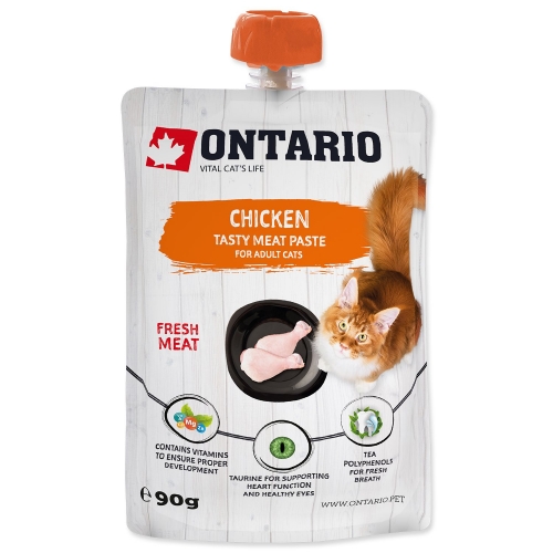 Pasta Ontario kuře 90g