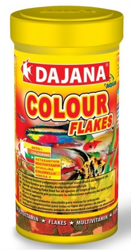Dajana Colour 100ml