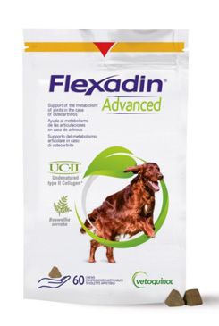 Flexadin Advanced New 60tbl