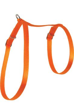 Postroj kočka nylon 10mm oranžový Zolux