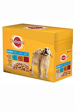 Pedigree kapsa Junior 12pack 100g