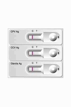 Test Rapid CPV/CCV/GIARDIA Ag 1ks