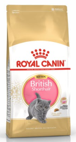 Royal canin British Shorthair Kitten 10kg