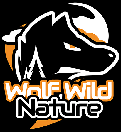 Logo WWN